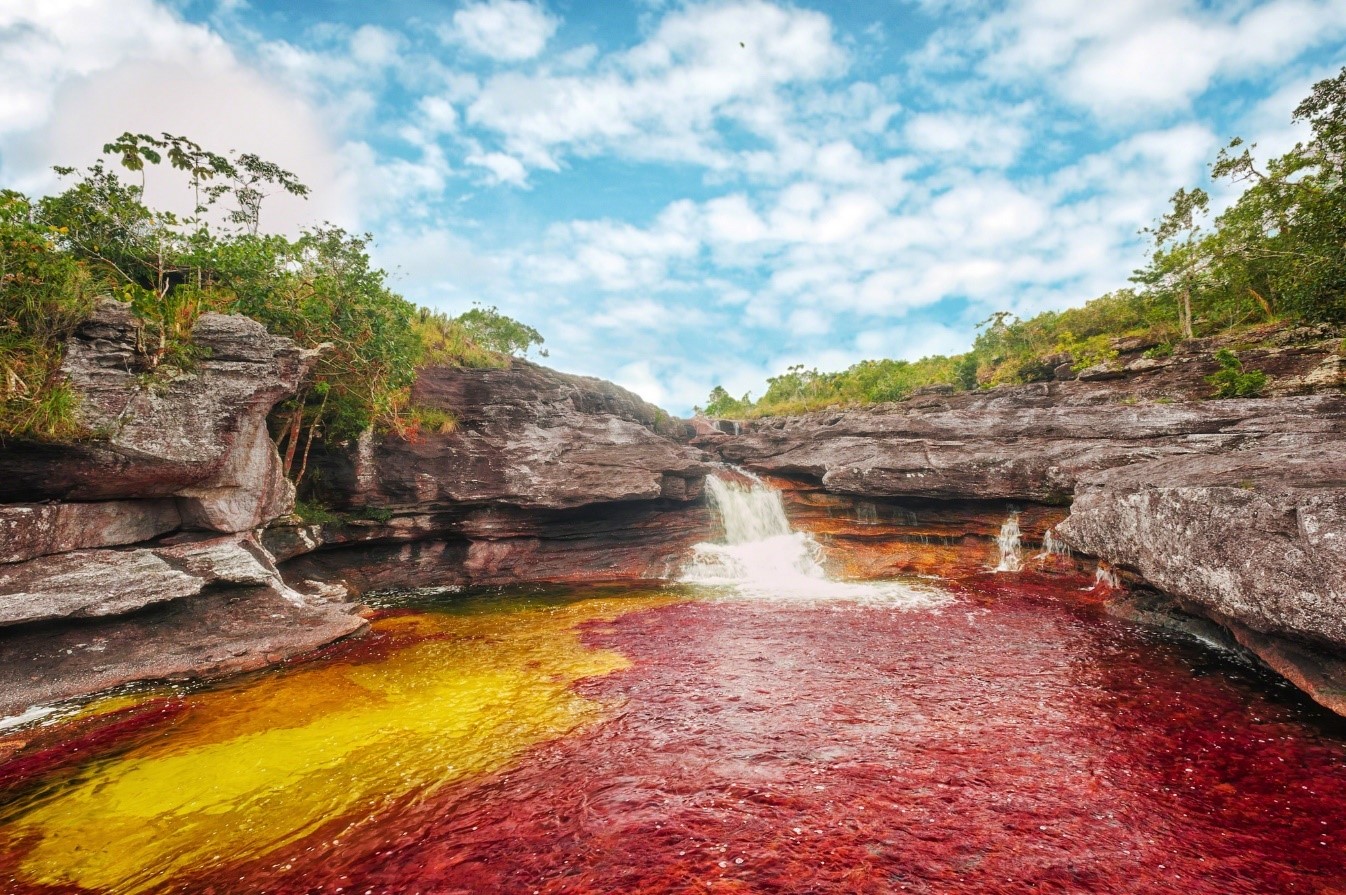 Caño Cristales, el río de los cinco colores