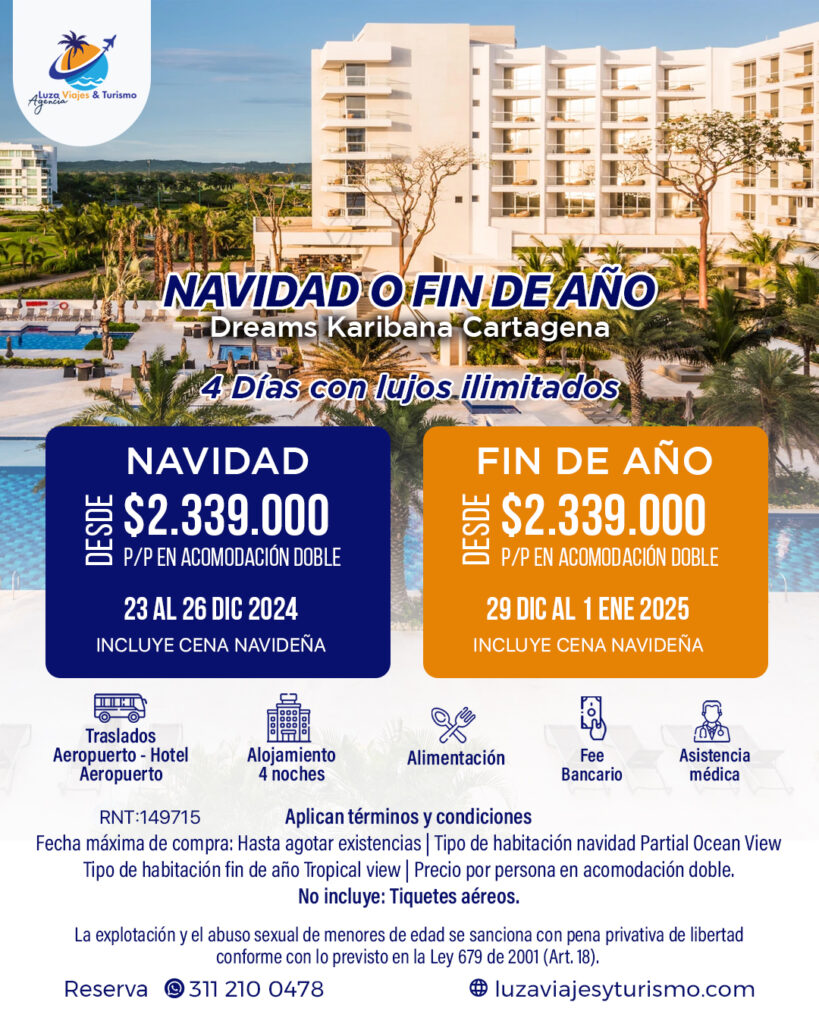 Navida o fin de año Dream (6)